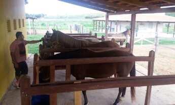 Imagem 5: Propriedade rural em Brejo Santo-CE