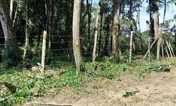 Imagem 5: Chacará em Juquitiba