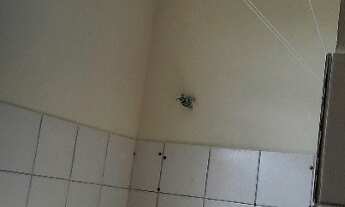 Imagem 3: Alugo apartamento no Santa Lúcia