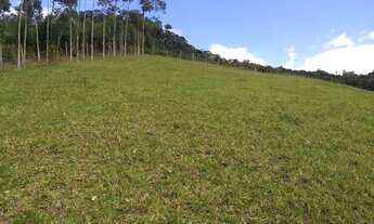 Imagem 5: Vendo linda chácara 1 hectares!