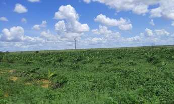 Imagem 3: Granja com 11 hectares na região de jndaira com poço tubular