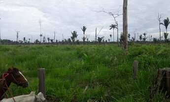 Imagem 5: Fazendinha Chácara com venda por R$1.000.000