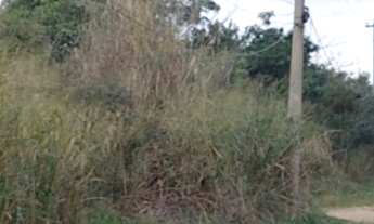 Imagem: Terreno 600m