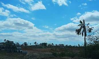 Imagem 2: Loteamento Pacatuba Iv,Ao Lado Da Cervejaria Heineken Infraestrutura Completa!.. n°:23