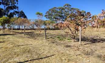 Imagem 4: Chácara excelente oportunidade