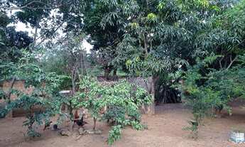 Imagem 6: Sítio em Jaboticatubas (próximo de São José do Almeida) povoado Sol de Verão