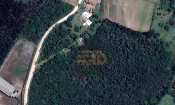 Imagem 2: Chácara à venda, 73.568 m² por R$ 1.100.000 - Imbuial - Colombo/PR