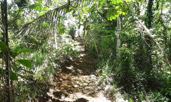 Imagem 7: Terreno sem benfeitorias para formação de sitio de lazer