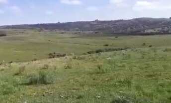 Imagem 6: VENDO FAZENDA DE 1.490 HECTARES NO MUNICÍPIO DE PINHEIRO MACHADO RS