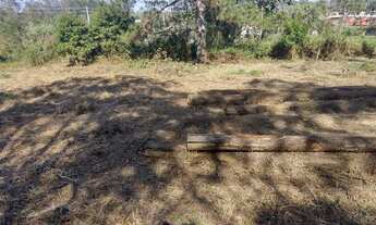 Imagem 2: Lote na avenida 20 mil.rrais 250 metro