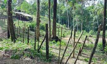 Imagem 4: Chacará em Juquitiba