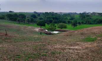 Imagem 3: CHÁCARA EM MERIDIANO