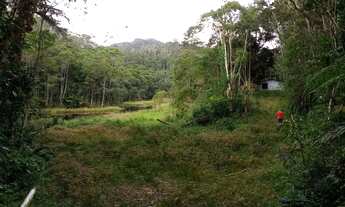 Imagem 3: Sítio 10 alqueires (Mata Nativa