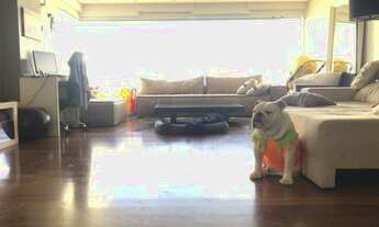 Imagem 7: Apartmaneto de 2 Dormitórios sendo 2 Suítes com 2 Vagas de Garagem no Bairro da Vila Maria