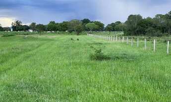 Imagem 3: Fazenda em Pacajá