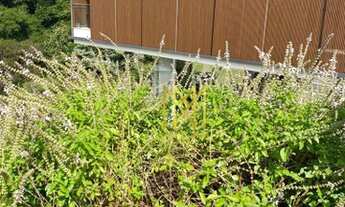 Imagem 5: Casa com 3 dormitórios, 415 m² - venda por R$ 7.200.000,00 ou aluguel por R$ 50.000,00/mês