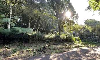Imagem: Canela - Terreno Padrão - Alpes Verdes