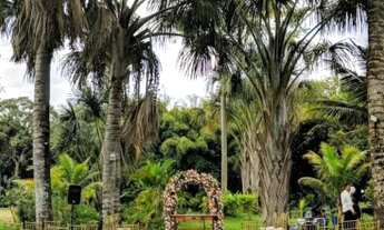 Imagem 4: Sítio ESPERANÇA E FÉ