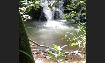 Imagem 2: Chácara próximo Águas Lindas depois rio dos macacos