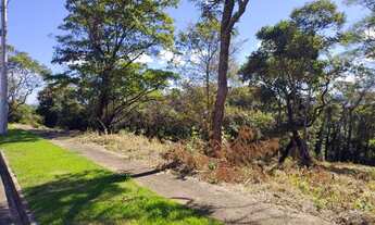 Imagem 3: Oportunidade Vendo Lotes 1.000m² Uso Residencial e Comercial