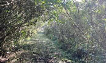 Imagem 2: Chácara de 4.000m² Vila Loty - Itanhaém Escriturada