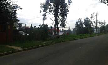 Imagem 3: Terreno com 3 Dormitorio(s) localizado(a) no bairro em Nova Santa Rita / RS Ref.:G2044