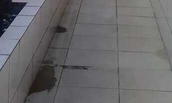 Imagem 2: Cj Petros - Aleixo