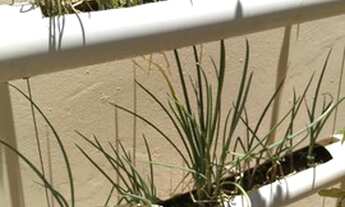 Imagem 7: CASA MAIS DUAS KITNETS - JD CAMPOS VERDES - HORTOLÂNDIA - SP