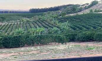 Imagem 2: Sítio Capetinga 19 Alqueires