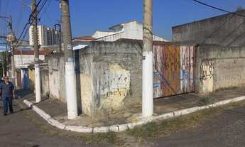 Imagem 3: Térrea para venda tem 257 metros quadrados com 2 quartos em Casa Verde Média - São Paulo