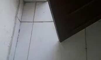 Imagem 7: Aluga se casa na melhor localidade do panatins