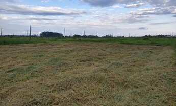 Imagem 4: Terreno ótima localização em Forquilhinha, município do sul do estado
