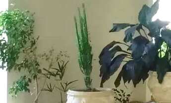 Imagem 4: Apartamento para aluguel com 96 metros quadrados com 3 quartos em Cidade Nova - Indaiatuba