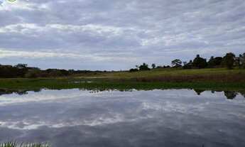 Imagem: FAZENDA Á VENDA EM NIOAQUE MS - 1.182 HECTARES