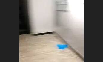 Imagem 2: Casa para Alugar Centro Diadema