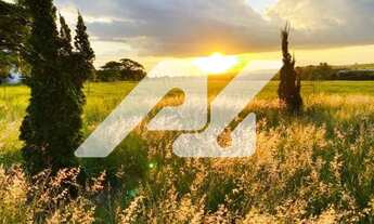 Imagem 2: área - Colmeia - Monte Alegre do Sul