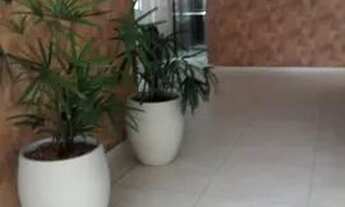 Imagem 4: Apartamento para aluguel possui 75 metros quadrados com 2 quartos