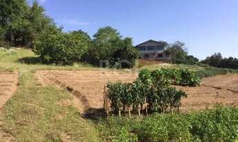 Imagem 4: Area para Venda - 9500m², 0 dormitórios, Vila Nova