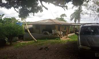 Imagem: Sítio de 7 alqueires no mun. De Cocalzinho