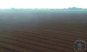 Imagem 7: Fazenda para Venda em Irecê, JOÃO DOURADO, 4 dormitórios, 2 suítes, 5 banheiros, 10 vagas