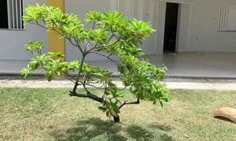 Imagem 3: Casa na praia do saco