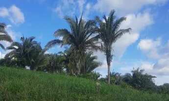 Imagem: Vendo 3 alqueires de terra, pego carro na