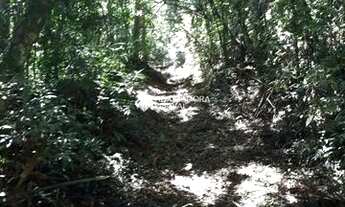 Imagem 4: GRAMADO - Terreno Padrão - Carazal