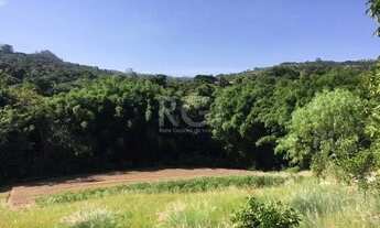 Imagem 2: Area para Venda - 9500m², 0 dormitórios, Vila Nova