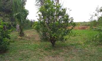 Imagem 3: Vendo lote rural