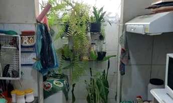 Imagem 4: Apartamento no Cachambi, 2 quartos