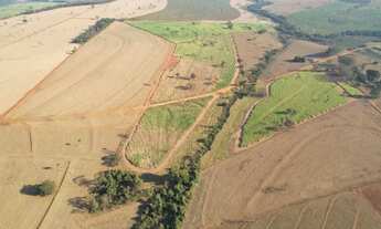 Imagem 4: 90% de Cana em Nhandeara