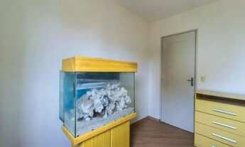 Imagem 6: Aluguel de Apartamento com 3 Dormitórios no Jaguaré, São Paulo