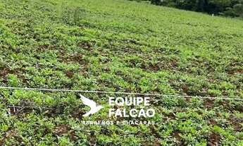 Imagem 5: Oportunidade em Cotia: lotes 300m² e 500m² com entrada facilitada