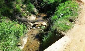 Imagem 3: 03 ALQUEIRES de Terreno rural, fácil acesso e linda vista em Conceição do Castelo